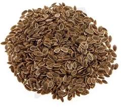 Eneldo en semillas 100gr